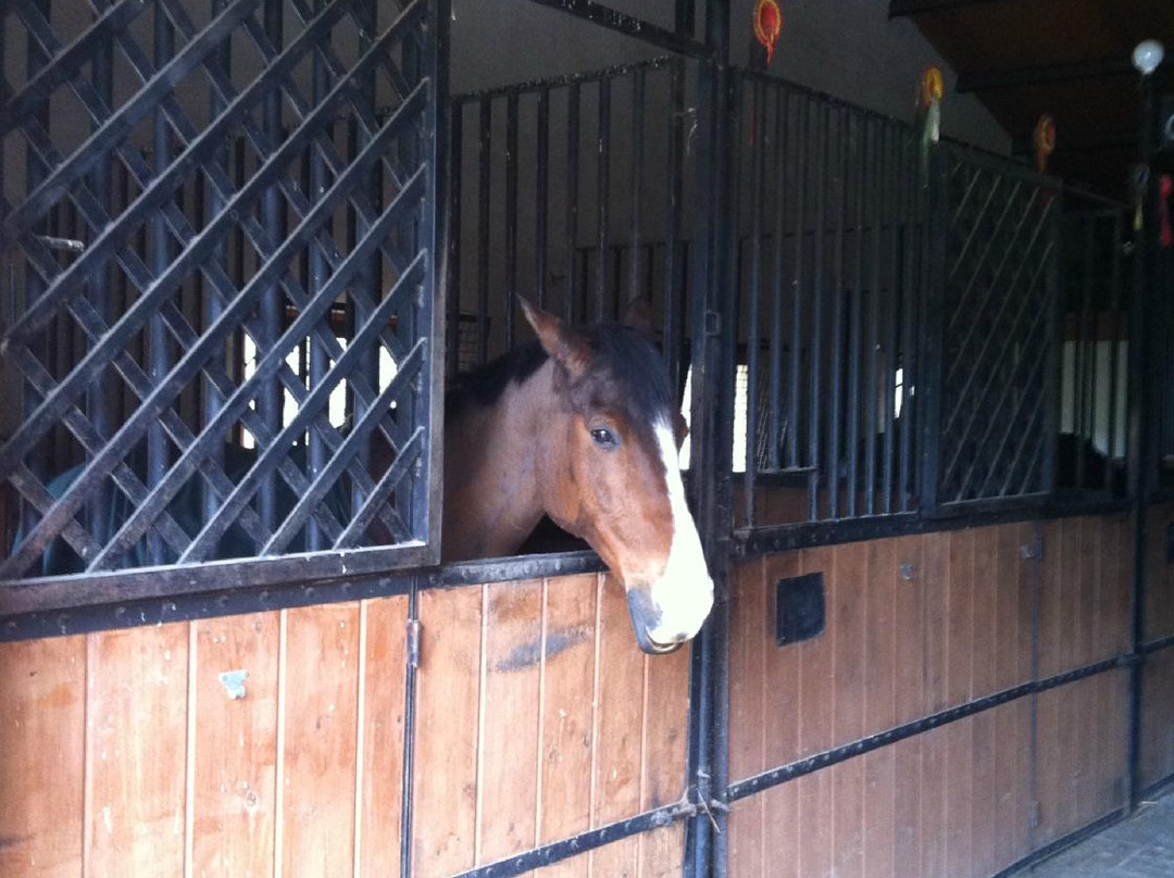 Centre Equestre Molino de la Umbria景点图片