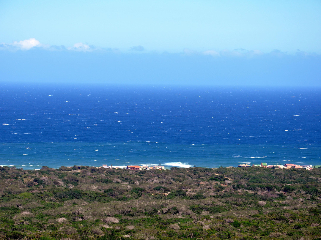 Seaview Lion Park-伊丽莎白港必去景点