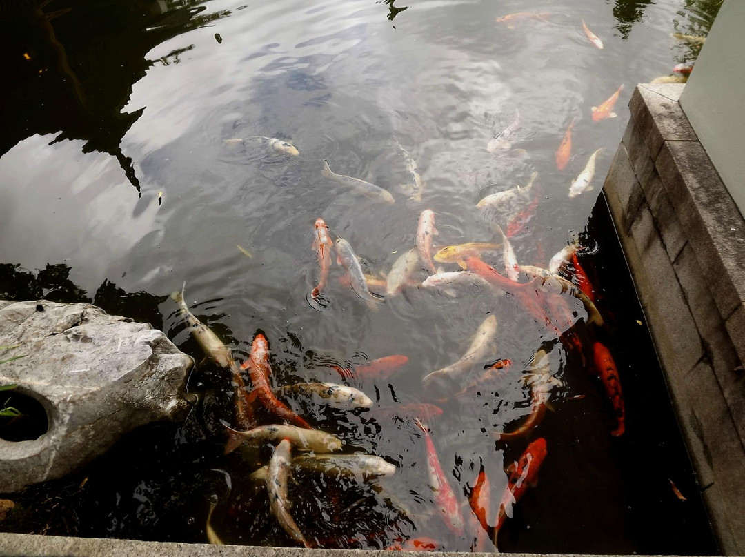 谊园-悉尼必去景点