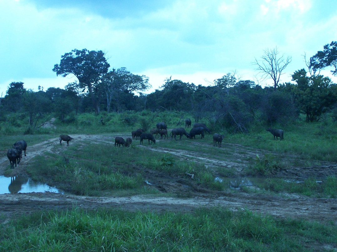 Hurulu Eco Park景点图片
