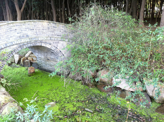 淀山湖-上海市必去景点