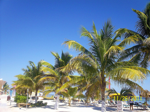 Island Marketing-Mahahual必去景点