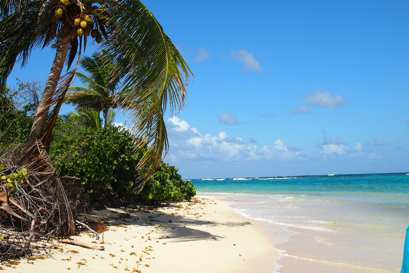 Kayaking Puerto Rico-库莱布拉岛必去景点