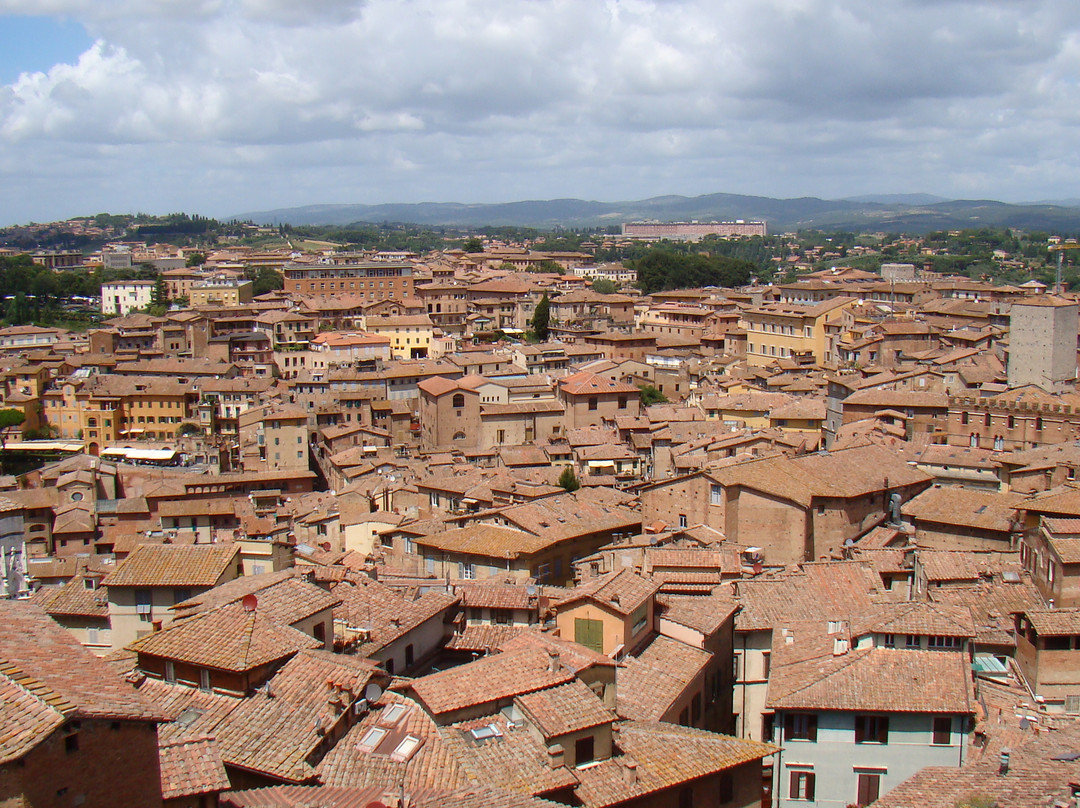 Museo dell'Opera Metropolitana-锡耶纳必去景点