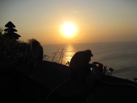 巴厘岛亚特兰蒂斯潜水中心-沙努尔必去景点