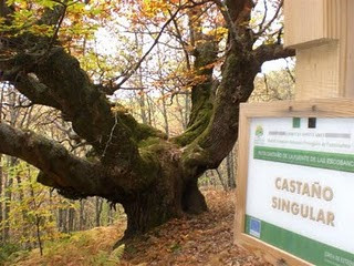 El Casarito - Pena de Francia景点图片