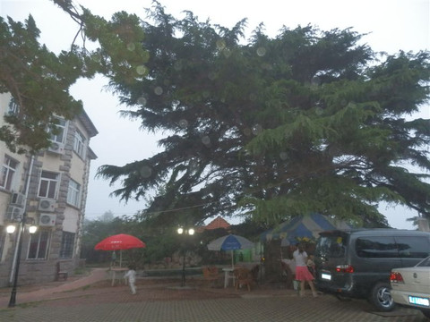 山海关宾舍主图