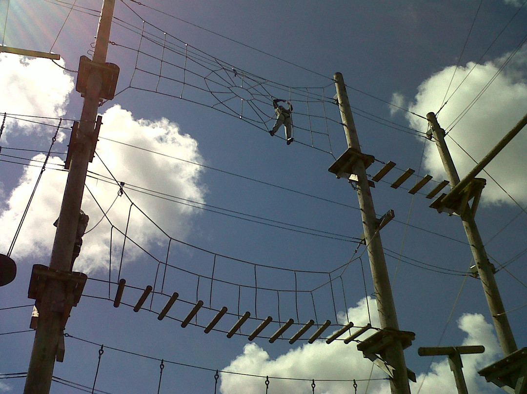 Aerial Extreme, Knowsley-Prescot必去景点