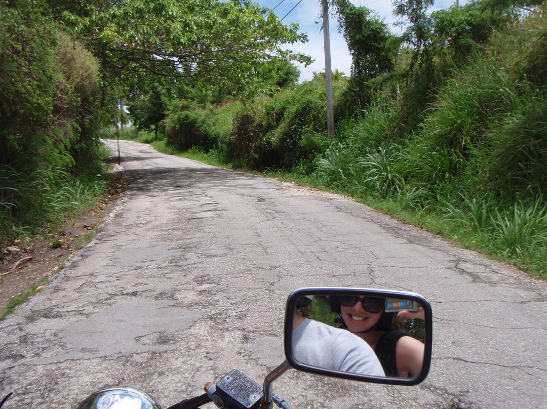 Caribbean Motorcycle Guided Tours-布里奇顿必去景点