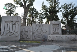 顾村公园 -上海市必去景点