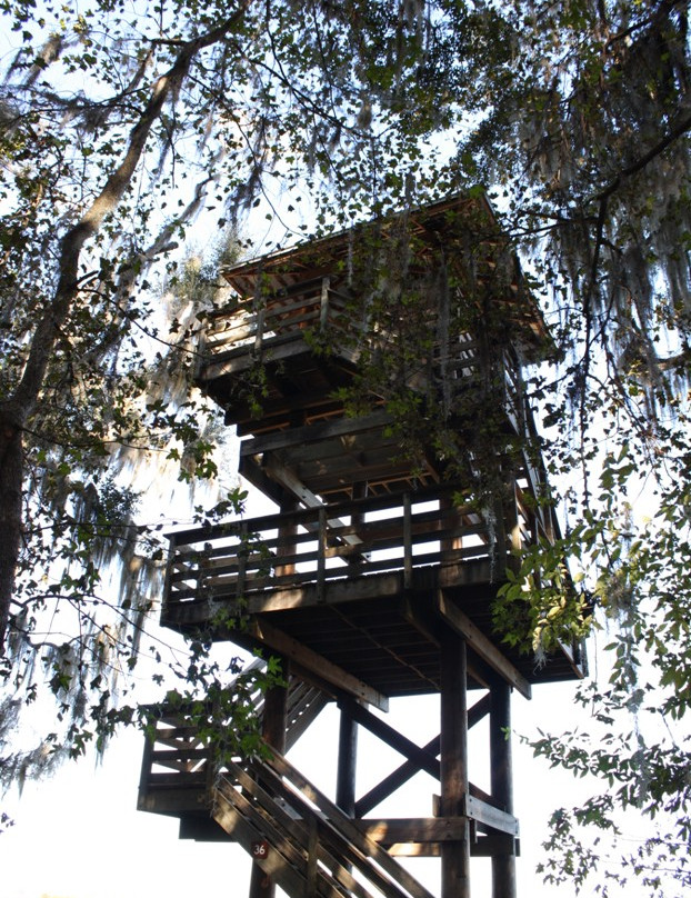Paynes Prairie Preserve State Park景点图片