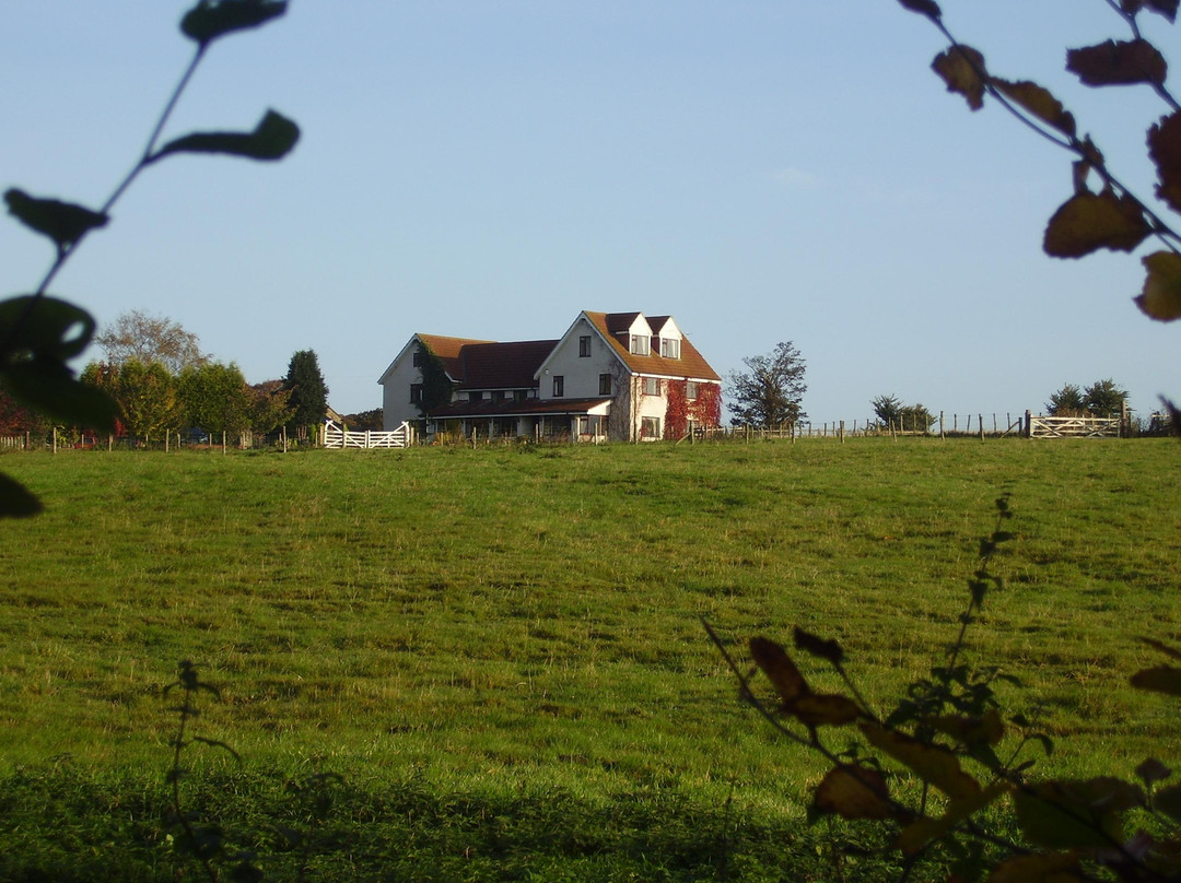Ironsign Country House主图