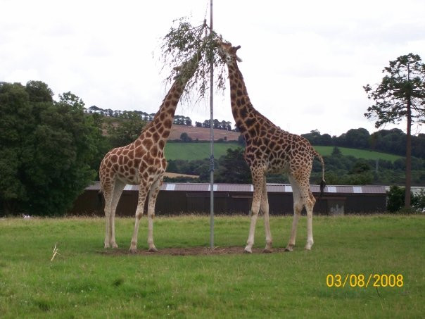 Fota Wildlife Park-Carrigtwohill必去景点