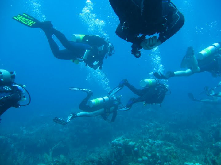 Florida Underwater Sports-萨拉索塔必去景点