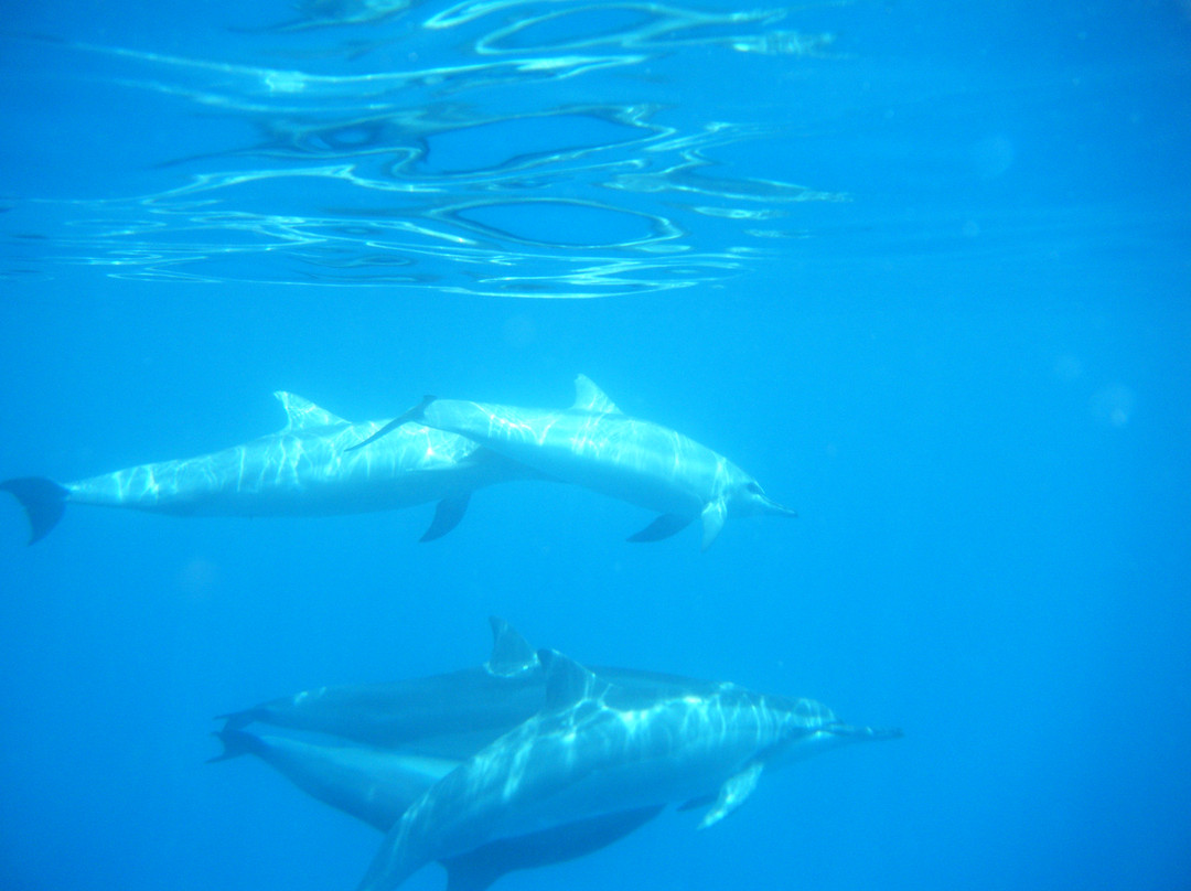 基亚拉凯库亚湾-库克船长必去景点