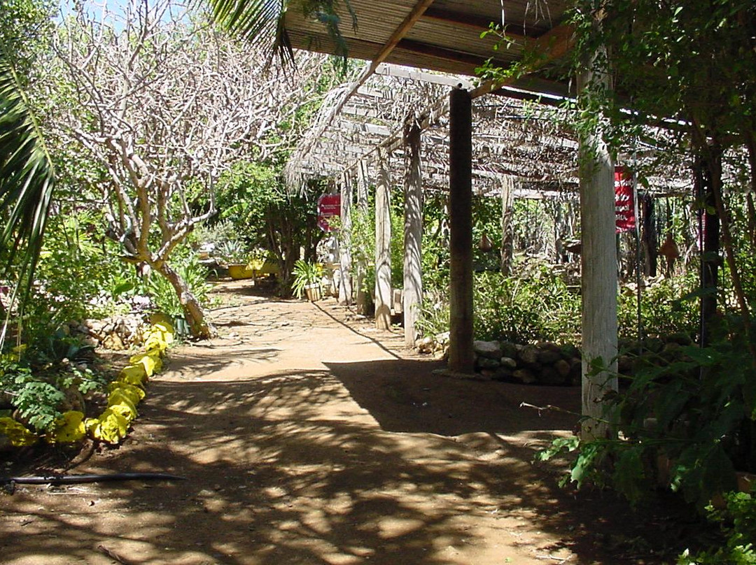 Den Paradera - Dinah's Botanic & Historic Garden-库拉索必去景点