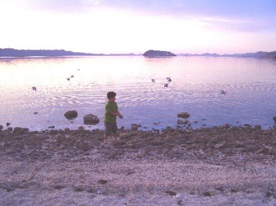 Bahía Concepción-Mulege必去景点