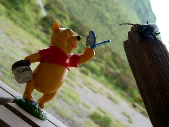 Lake Maloney State Recreation Area-北普拉特必去景点