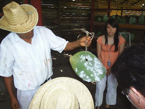 La Grana Tejidos景点图片