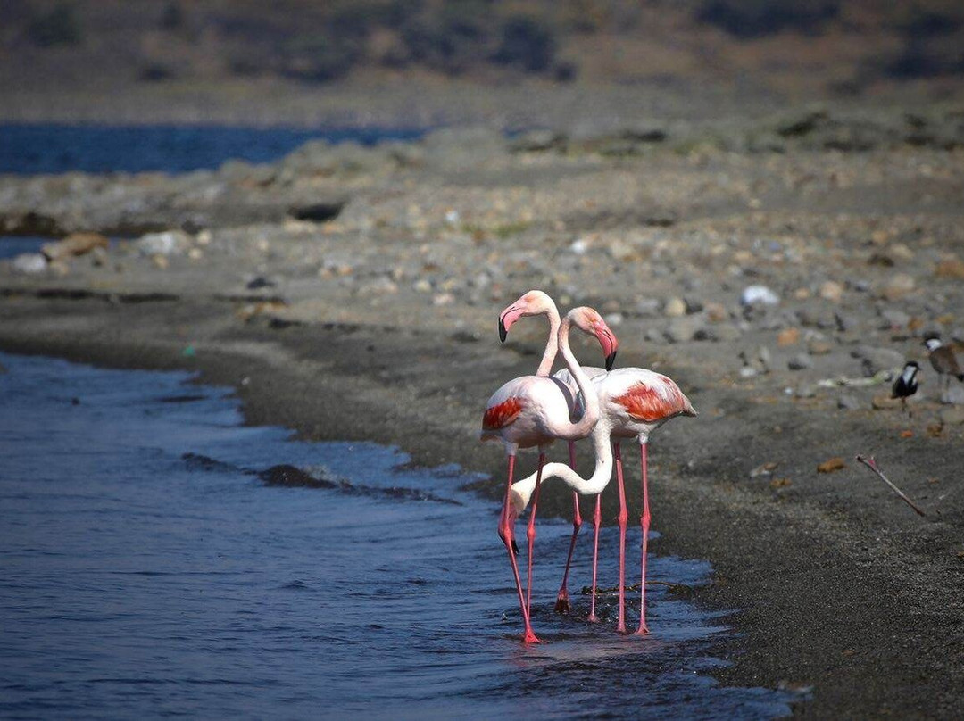 Sabisa Tour-巴哈尔达尔必去景点
