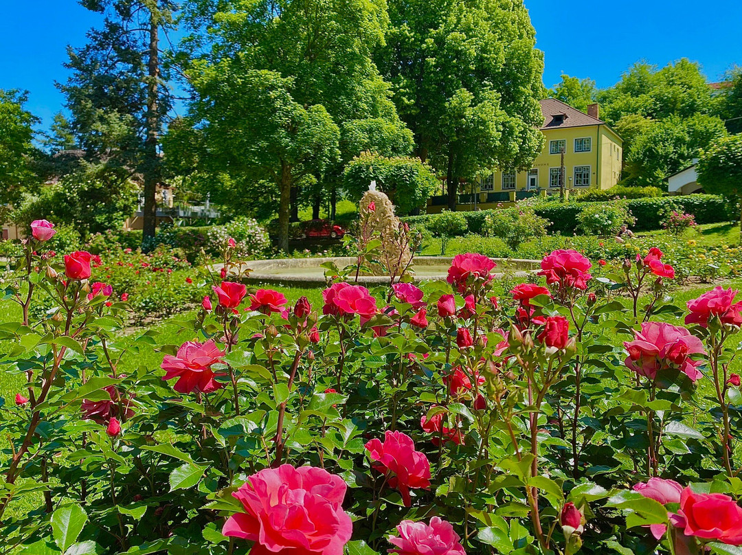 Rosarium