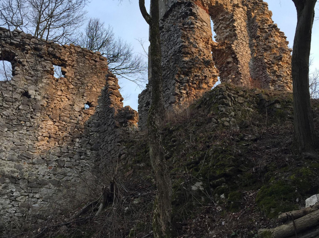 Castle Dobra Voda-Dobra Voda必去景点