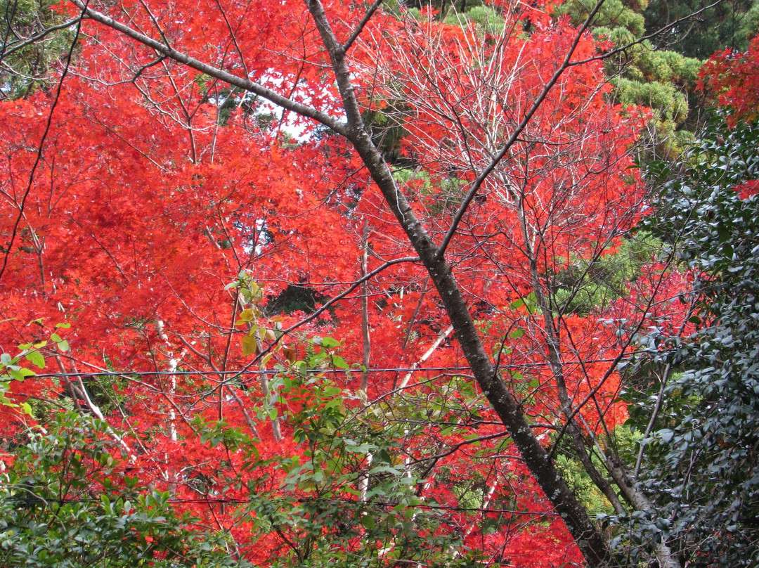 Kiyomizu-dera Temple-安来市必去景点