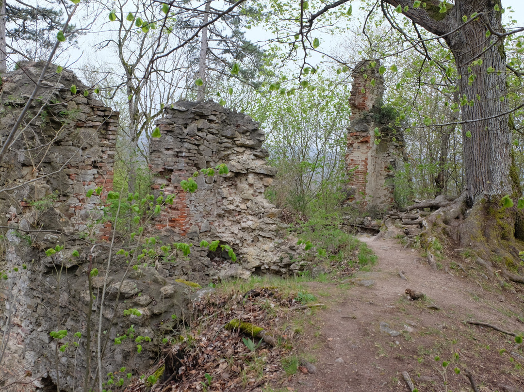 Castle Ruins Hochhaus-Ederheim必去景点
