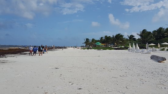 Playa Pescadores景点图片