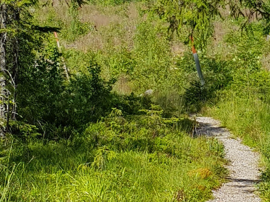 Flens Utsiktstorn-Nas必去景点