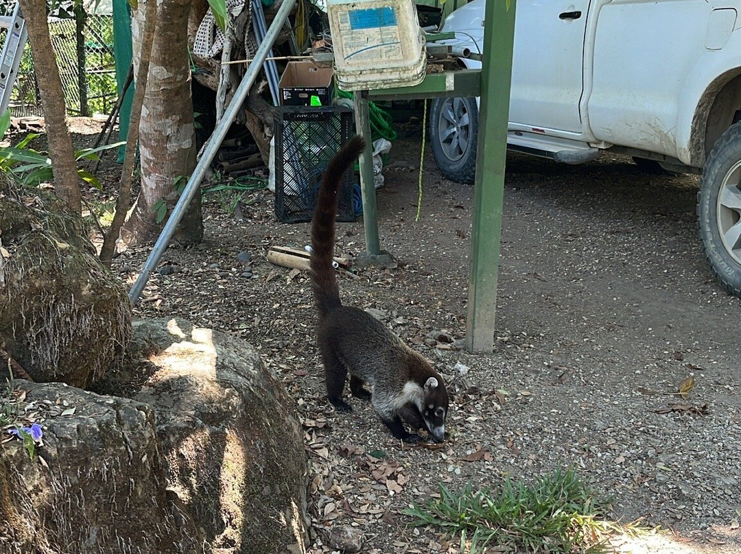 Sibu Wildlife Sanctuary景点图片