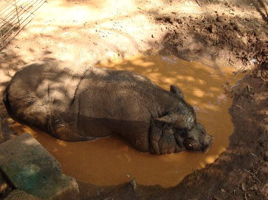 Split Creek Farm-安德森必去景点