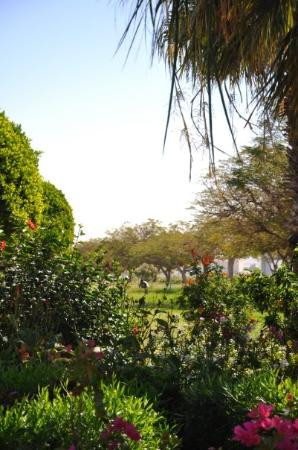 Aswan High Dam-亚斯文必去景点