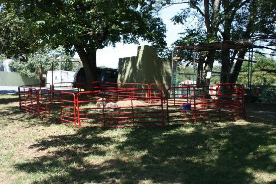 Natural Bridge Zoo-天然桥必去景点