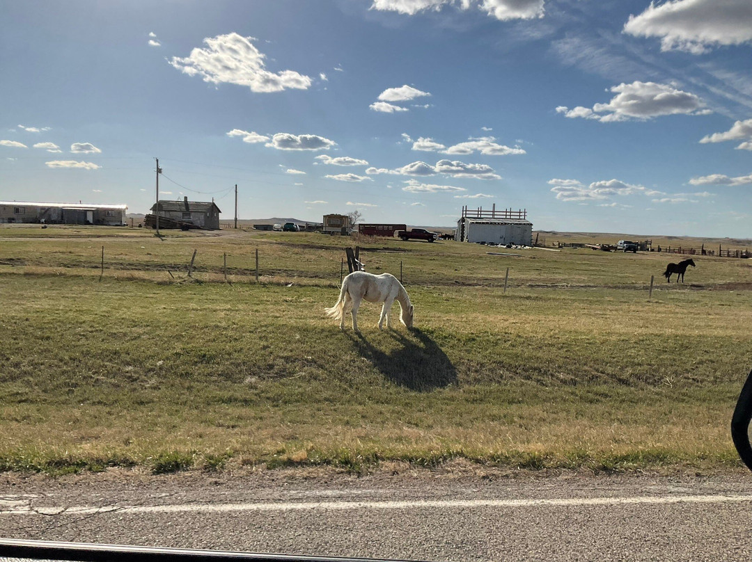 Sitting Bull Memorial景点图片