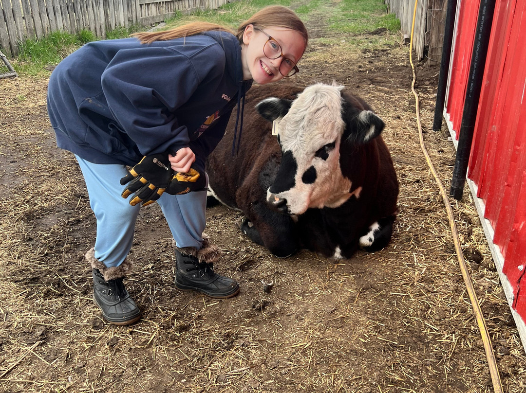 Eh Farms-Strathmore必去景点