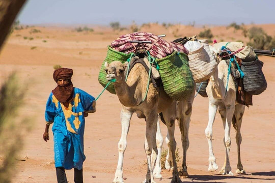 Excursion Contes du Desert-迈哈米德必去景点