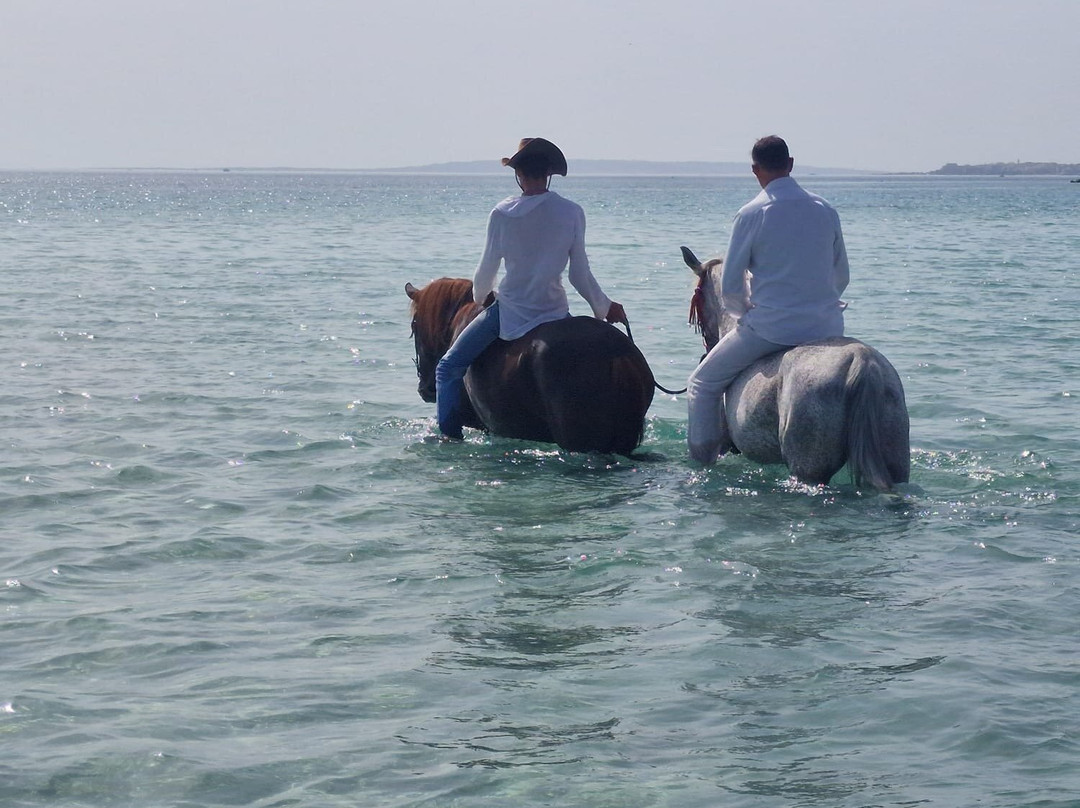 HorseTrips Hurghada-赫尔格达必去景点