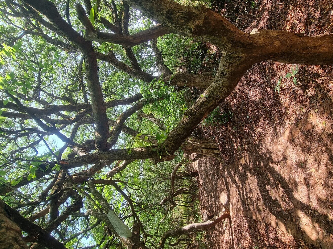 Gureghar Nature Trail景点图片