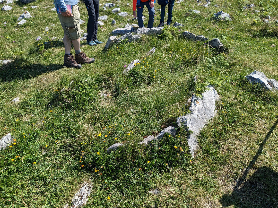 Heart of Burren Walks-Carran必去景点