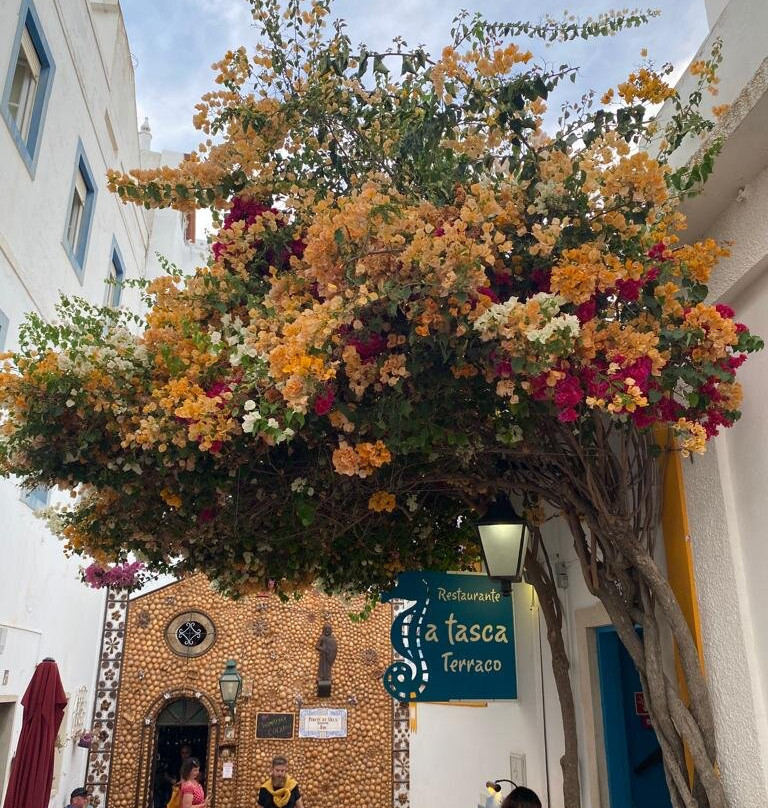 Novochoro Apartamentos Turisticos主图