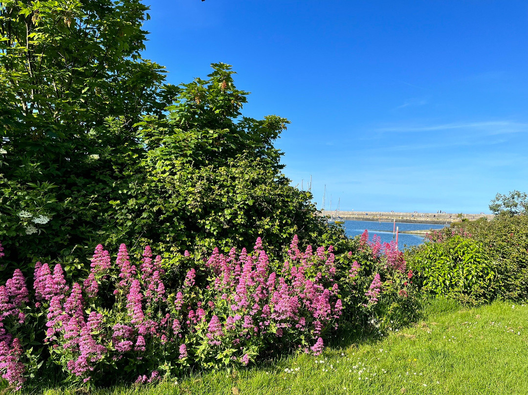 Howth Hills-霍斯必去景点