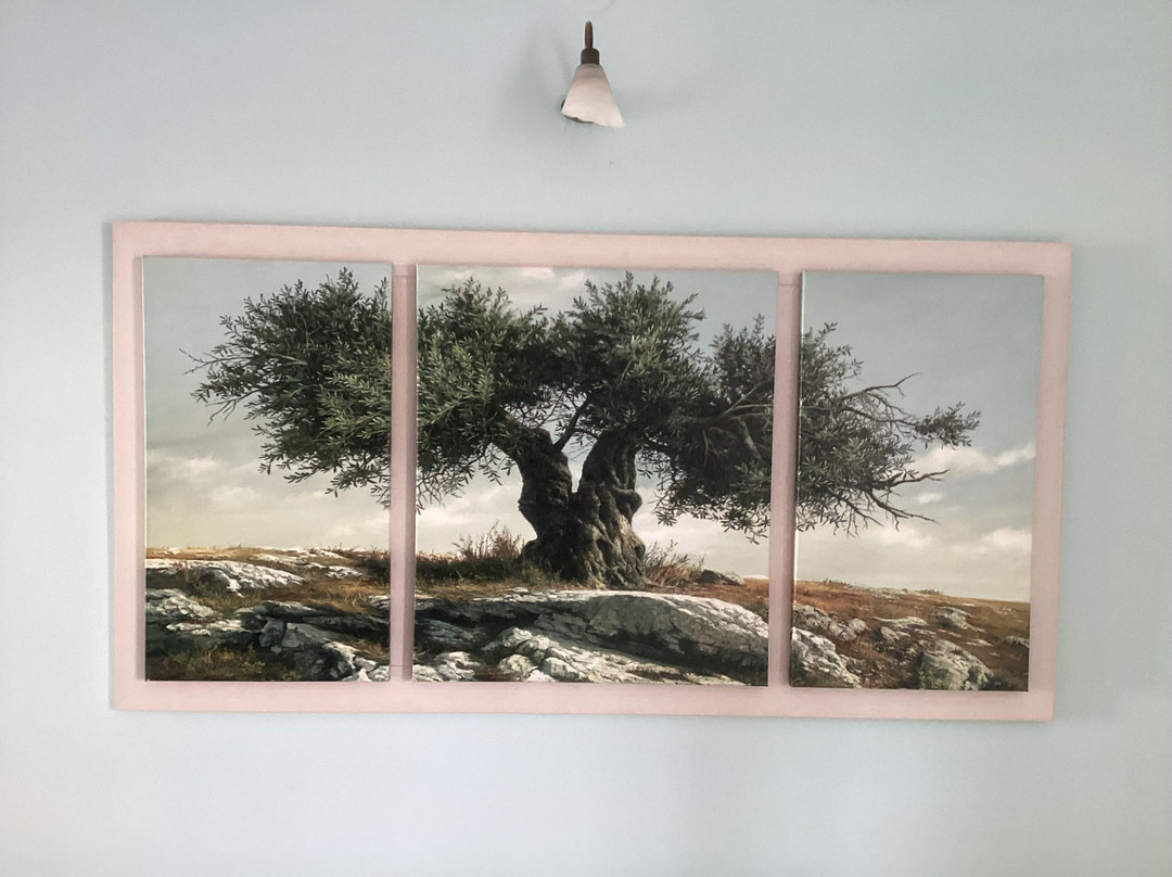 埃俄利斯酒店主图