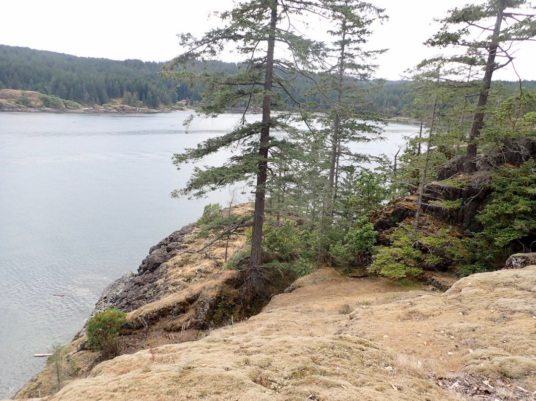 Quadra Island Kayaks - Day Tours景点图片