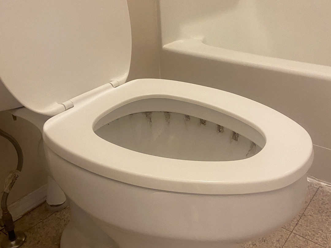 Cactus Tree Inn主图