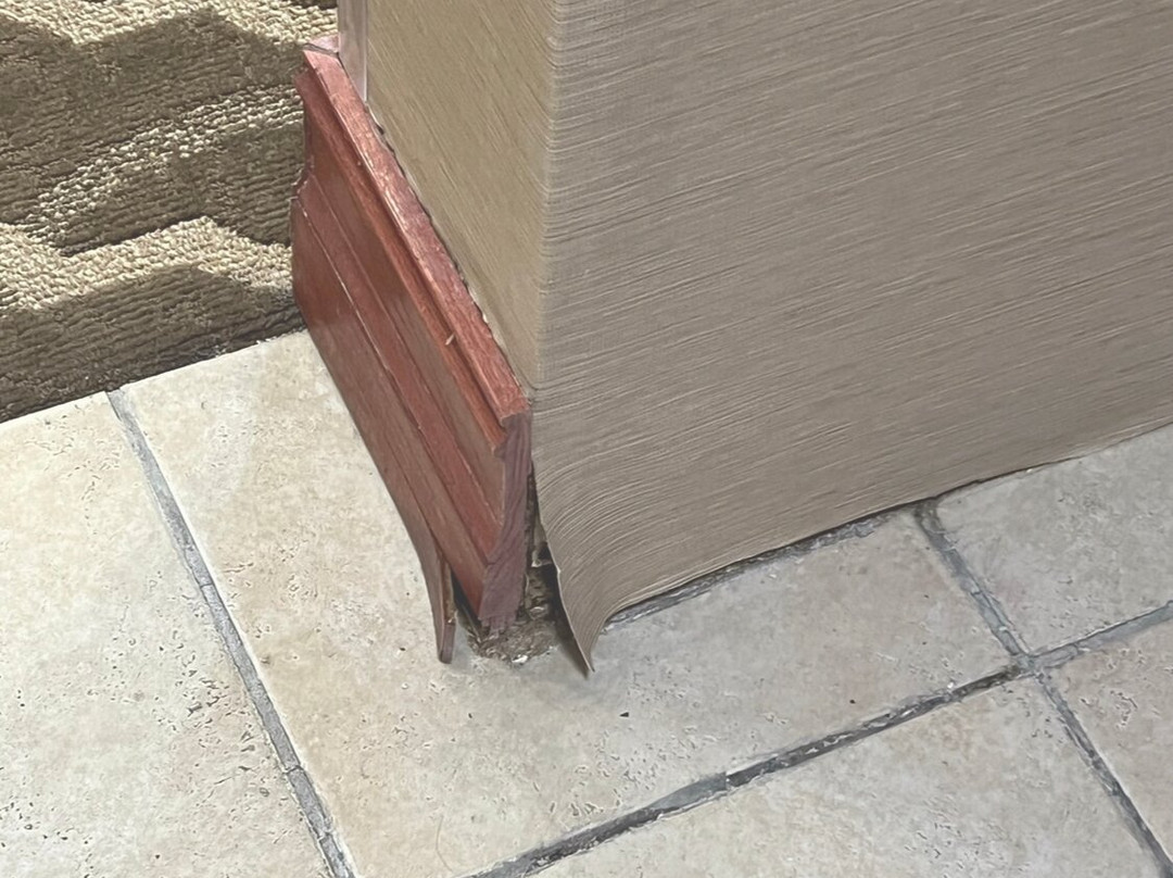 Comfort Suites Airport South主图