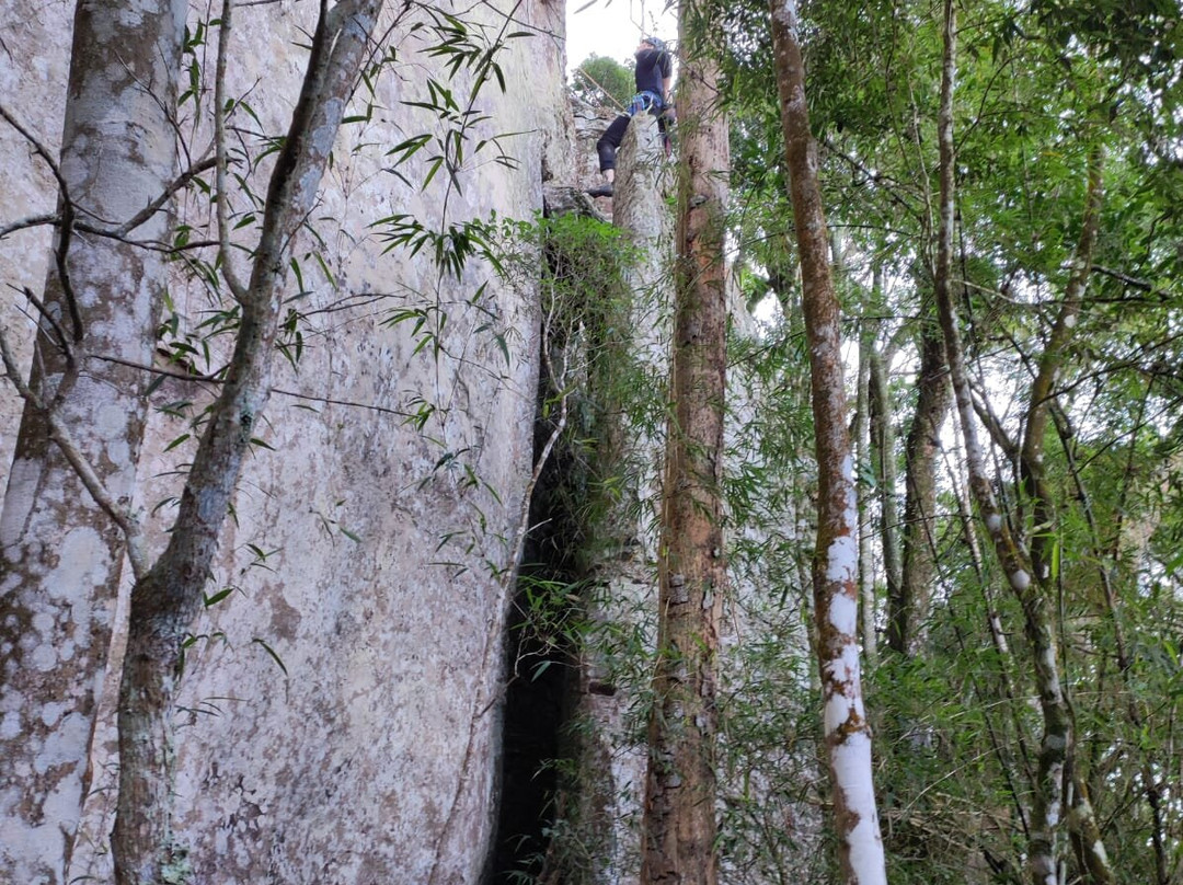 Nikk Adventurous景点图片