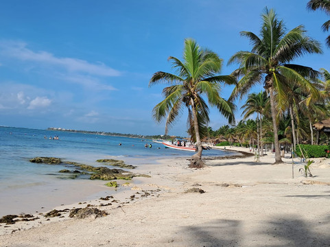 Excursiones Riviera Maya-普拉亚德尔卡曼必去景点