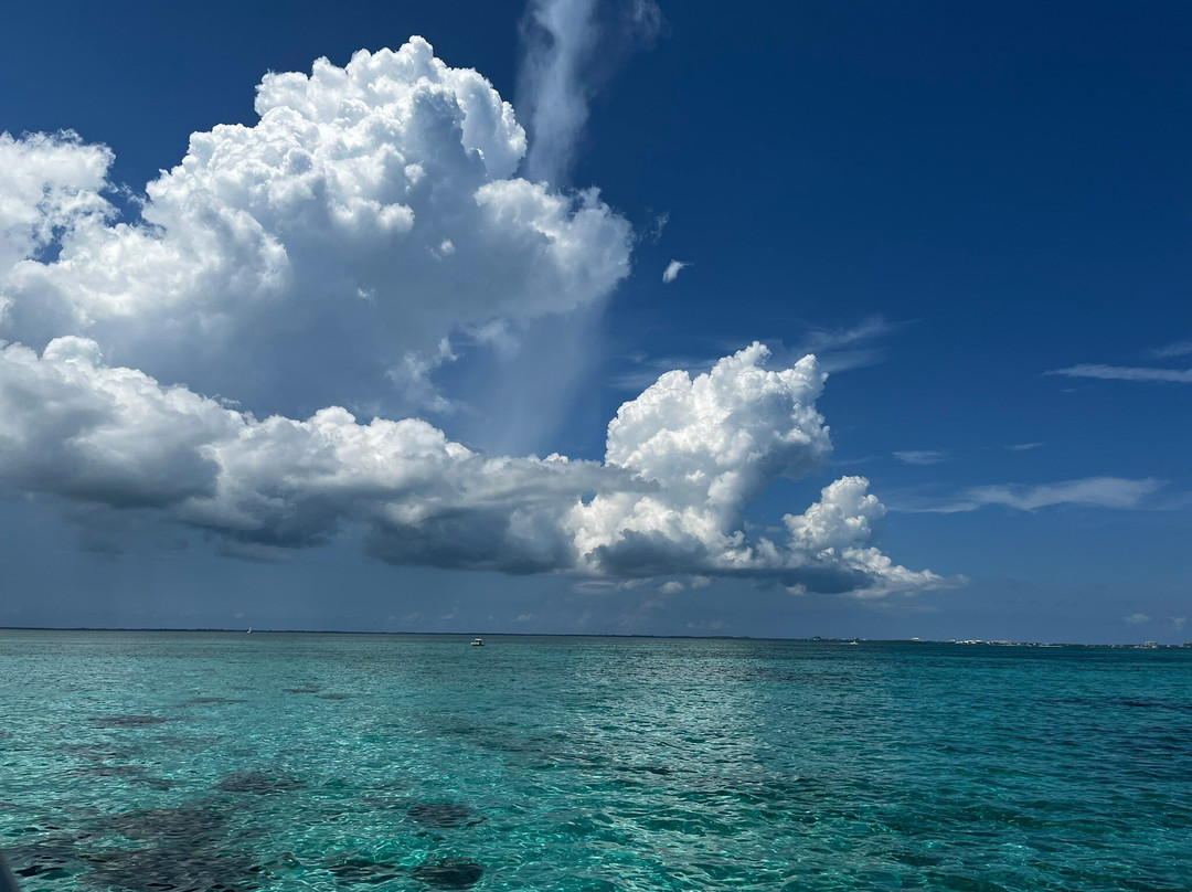 Captain Marvin's Watersports Ltd.-普罗维登西亚莱斯必去景点