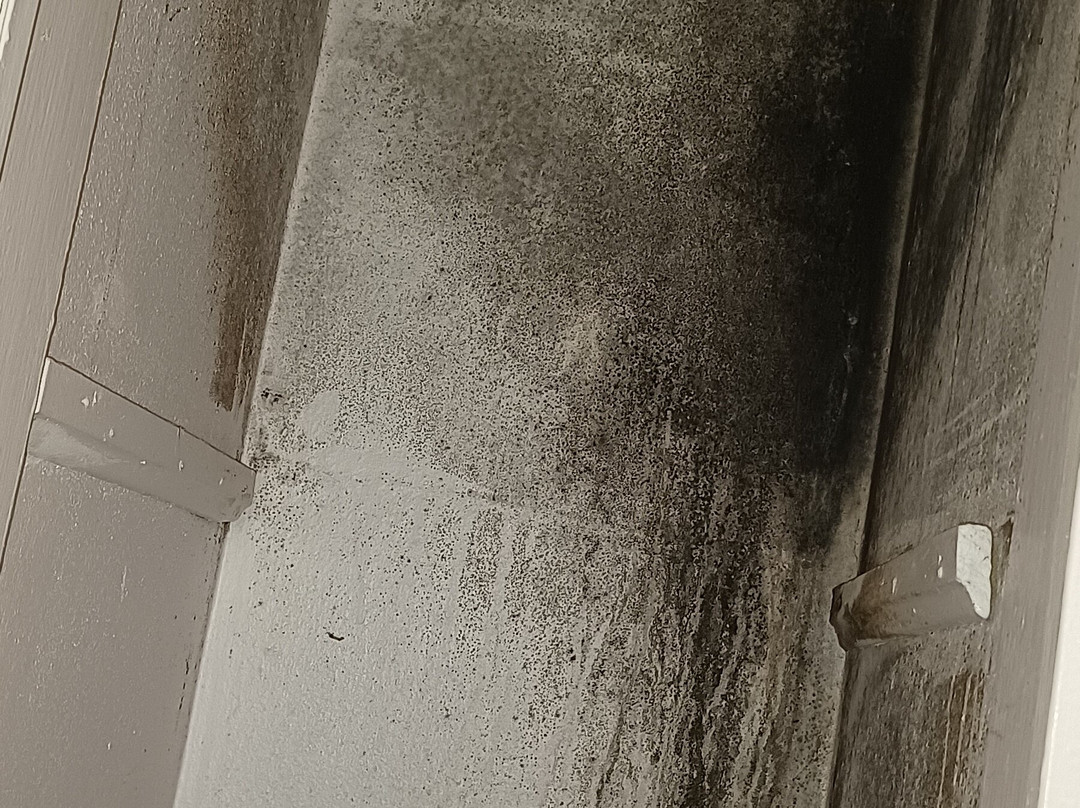 Monterey Condominium Motel主图